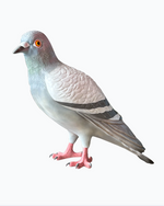 Lifelike Fiberglass Pigeon Statue – 200cm Tall