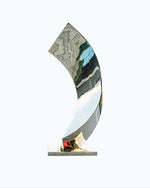 Stainless steel abstract ornment
