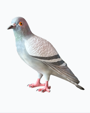 Lifelike Fiberglass Pigeon Statue – 200cm Tall