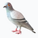 Lifelike Fiberglass Pigeon Statue – 200cm Tall
